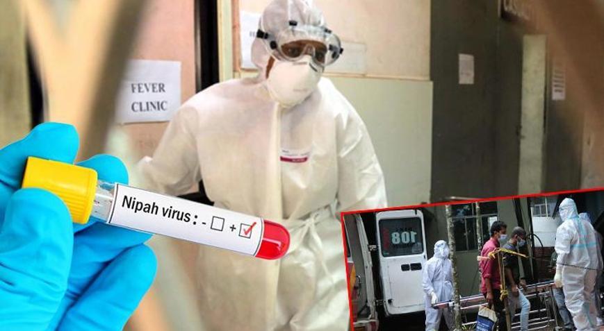 Covid’den 5 kat daha güçlü! Nipah virüsü nereden çıktı, pandemiye dönüşür mü?