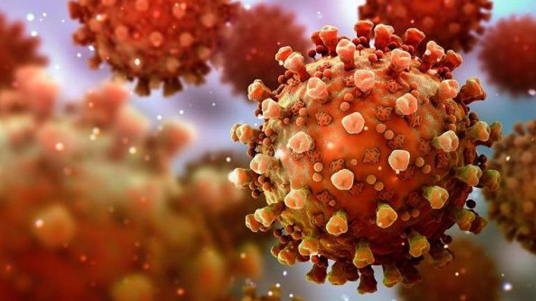 COVİDDEN 5 KAT DAHA ÖLDÜRÜCÜ Nipah virüsü yeni pandemi habercisi mi