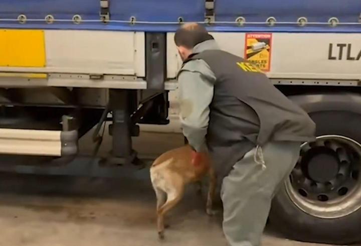 Edirne’de 240 kilogram uyuşturucu ele geçirildi