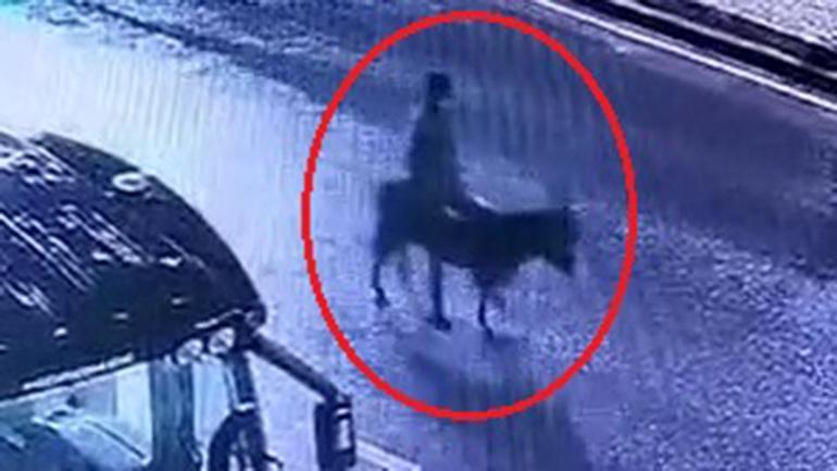 Kayseride akılalmaz soygun: EŞEKLİ HIRSIZ yakayı ele verdi