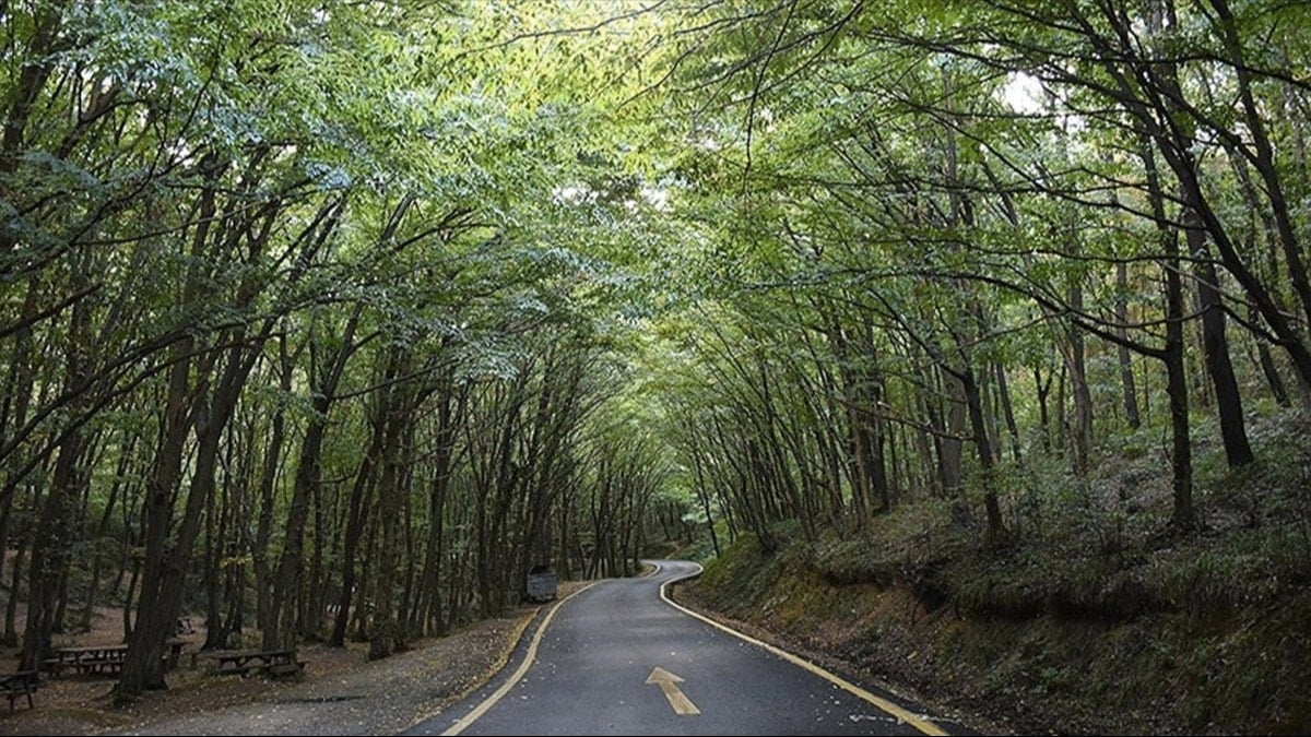 Atatürk’ten esirgediler ranta açtılar