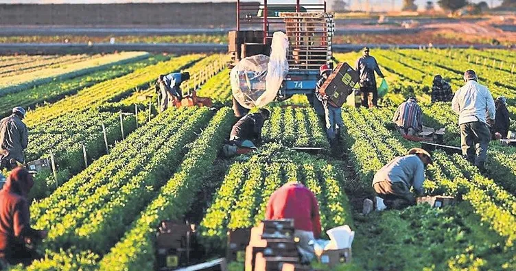 Kırsaldaki girişimciye 1.7 milyar destek