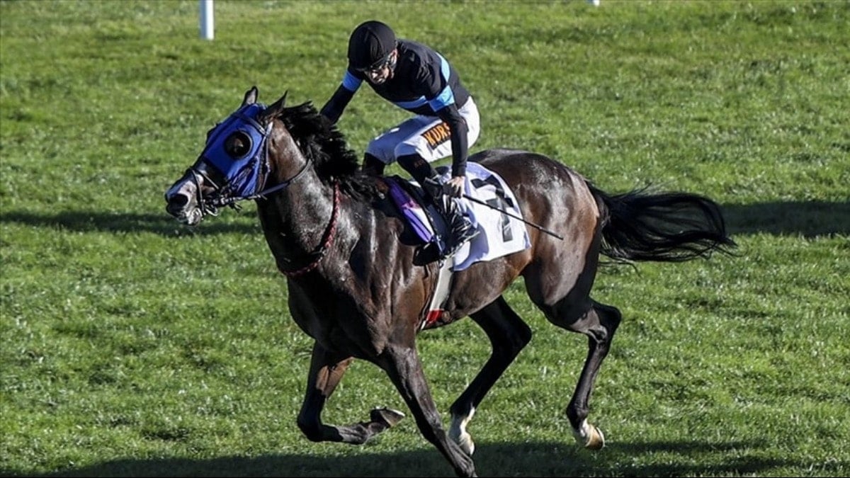 Yarış atı kavurma yapılan iş insanına da 132 bin TL ceza kesildi