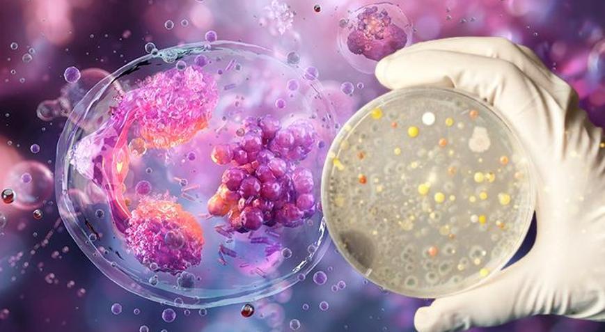 Otizmde bakteri düzeni hayat değiştiriyor! Bağırsaktaki kritik denge: ‘Biyolojik gürültü azalıyor’