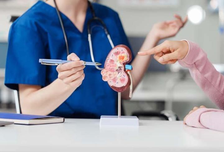 Türkiye’de Her 6–7 Erişkinden Birinde Kronik Böbrek Hastalığı Görülüyor