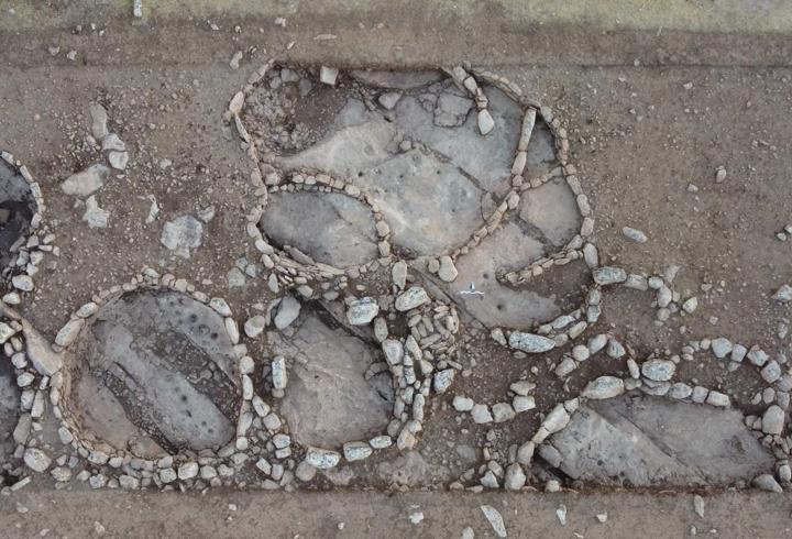 Göbeklitepe’nin atası Çakmaktepe