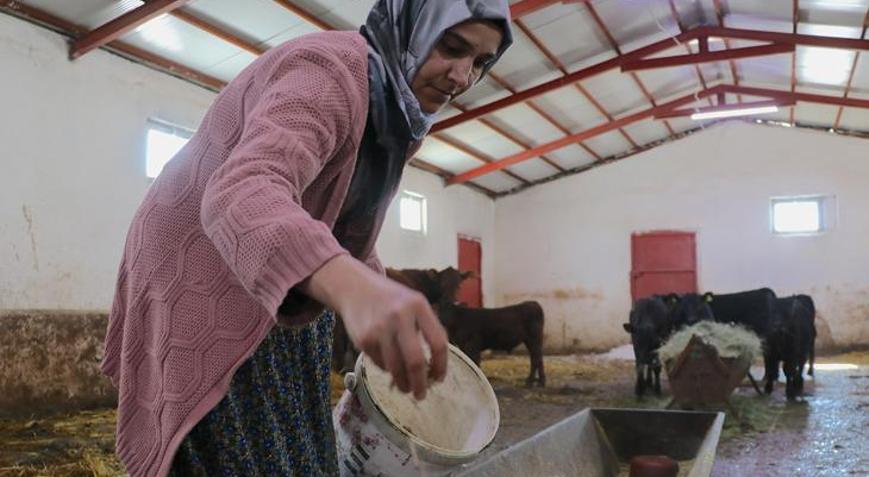 Devlet desteğiyle hayvan sayısını 5 ayda 2’ye katladı: ‘Çok mutluyum, kendi işimizi yapıyoruz’