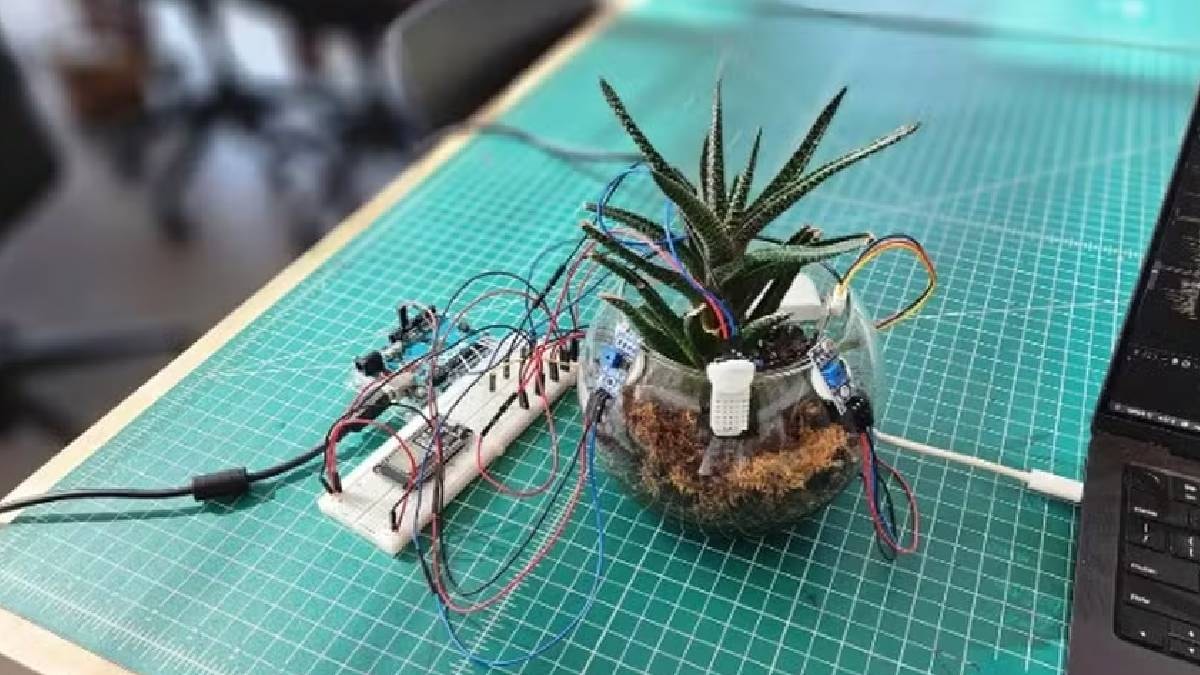 Çiçekleriniz artık dile gelip konuşacak: Dert ve şikayetlerini anlatabilecekler