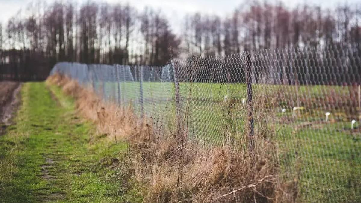 Yüksek çitler resmen yasaklandı: Kapısında olanlar apar topar kaldırıyor