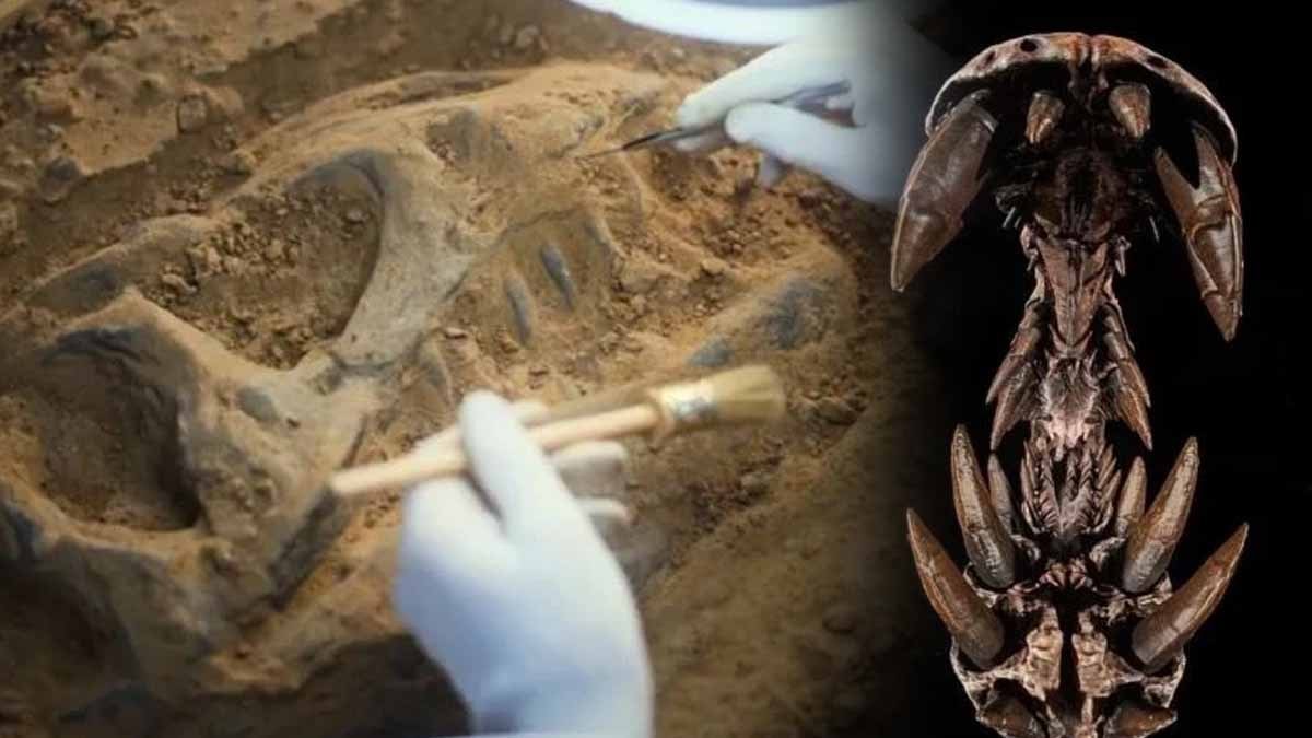 Bilim insanları 95 milyon yıllık ‘pala boynuzlu’ dev buldu, ateş püskürtmüyordu ama…