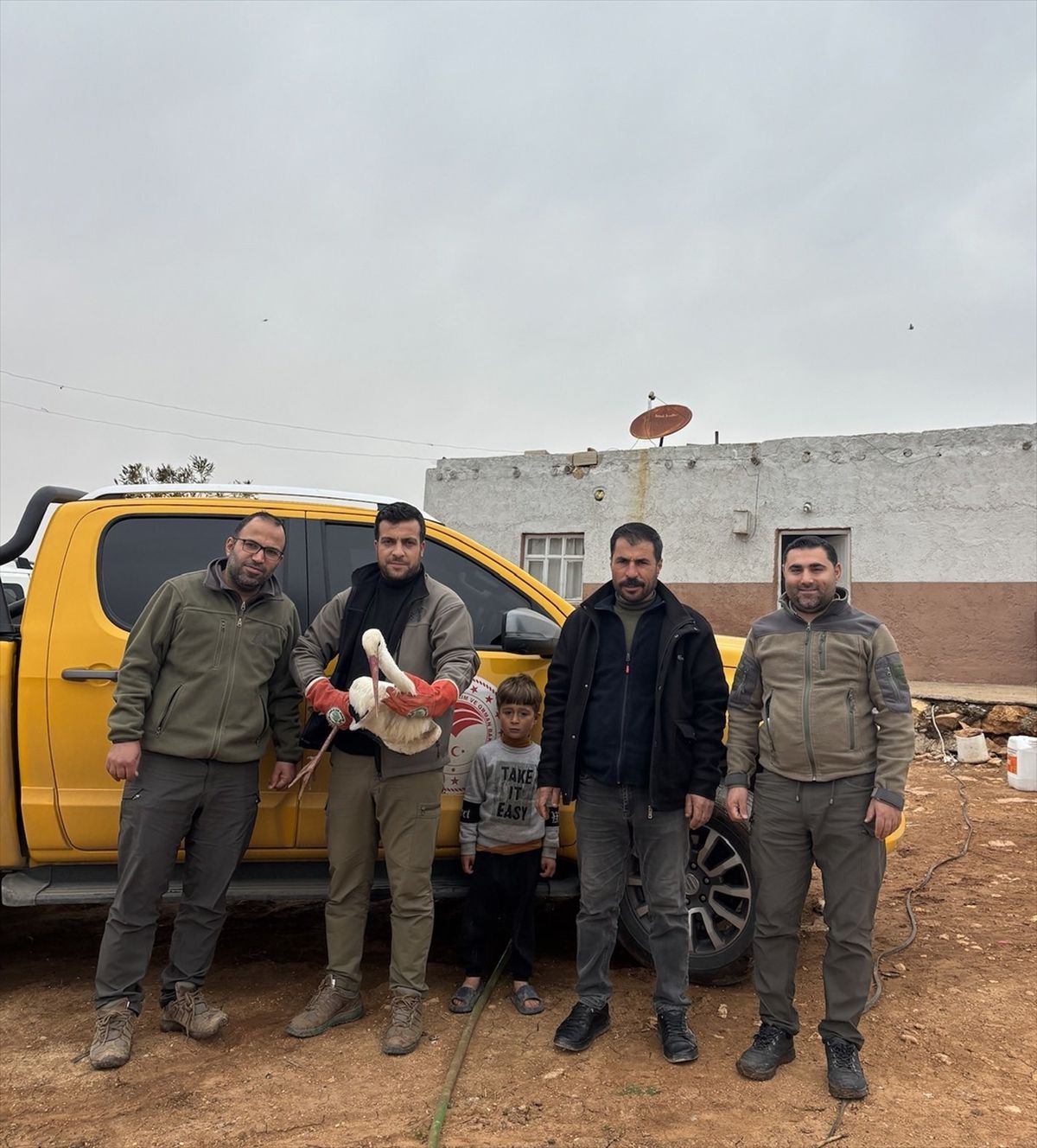 Şanlıurfa’da yaralı halde bulunan leylek tedavi altına alındı