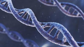 Bilimsel araştırmalar ortaya koydu: Kadınlar erkeklere oranla 5-7 sene daha uzun yaşıyor