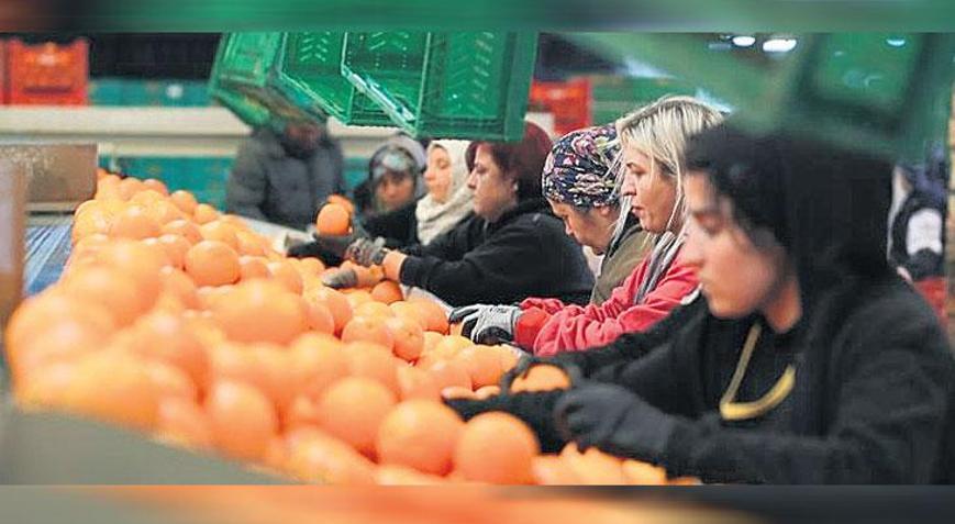 İhracatta kadınlar yüzde 23.5 pay aldı