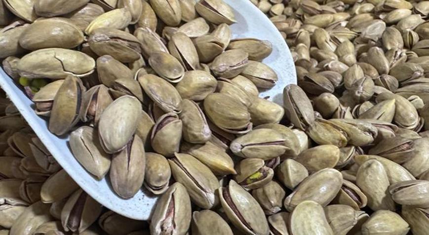 Yılın ilk çeyreğinde 32,8 milyon dolarlık fıstık ihracatı gerçekleşti