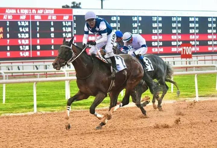Adana’da Akdeniz Derbisi’nin kazananı ‘Dapper Man’ oldu