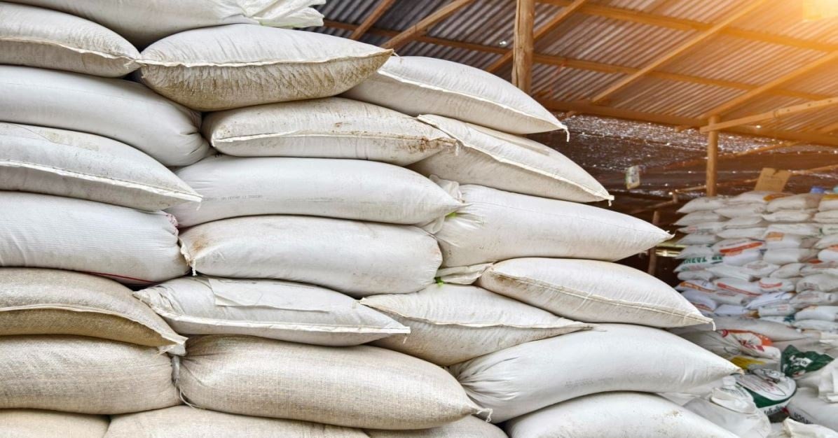 Maden rezervlerine ulaşabilmek için ülkelere bedava pirinç göndermeye başladılar