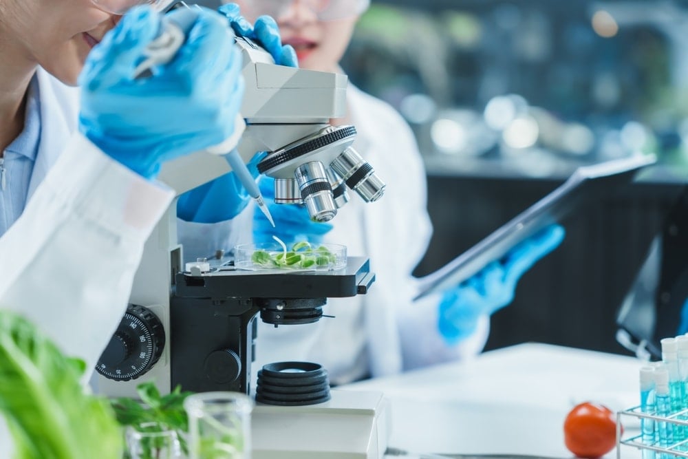 Sayı sayıyor çevresindeki olayları kaydediyor: Üstelik tüm bunları ‘beyni’ olmadan yapıyor