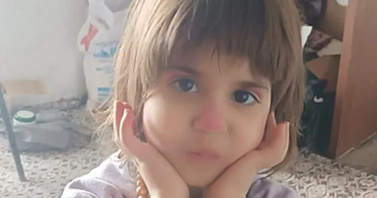 Bitlis’te 5 yaşındaki Rabia kayboldu: Her yerde aranıyor!
