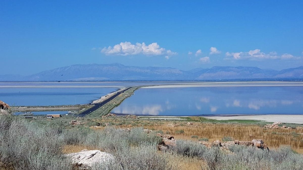 Büyük Tuz Gölü’nde hayatta kalabilen canlının sırrı açığa çıktı
