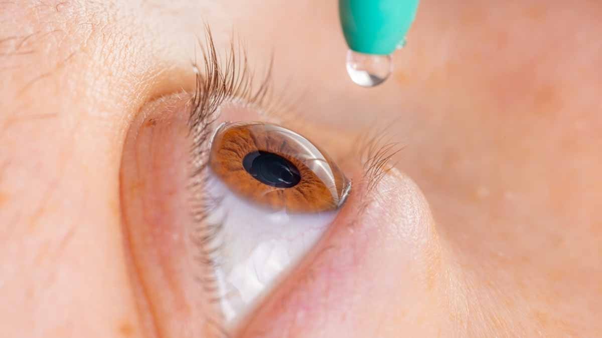 Domuz sperminden yapılan göz damlası agresif kanseri durdurdu