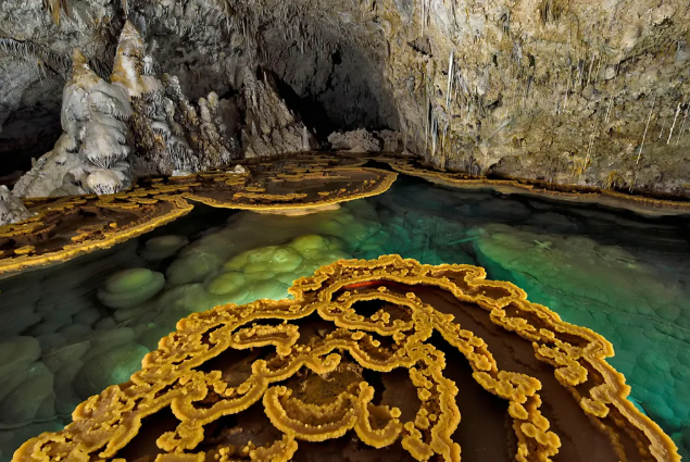 Mağaralarda saklanan ‘süper böcek’ gün yüzüne çıktı: Modern ilaçlara direnç gösteriyor