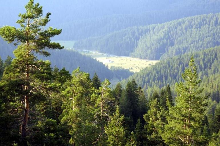 Ilgaz Dağı Nerede, Nasıl Gidilir Ilgaz Dağı Hakkında Bilinmesi Gerekenler