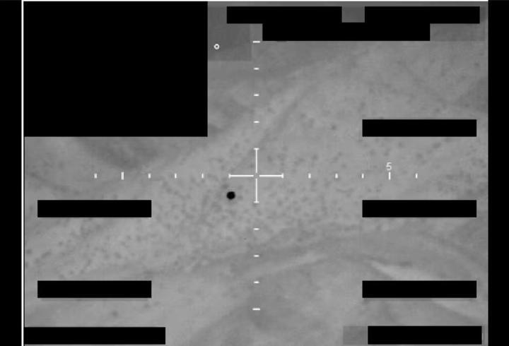 Gizli UFO dosyaları açıldı! Pentagon paylaştı…