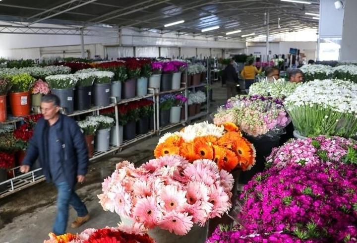 Anneler Günü öncesi İzmir’den Türkiye Geneline 8 Milyon Dal Çiçek Gönderildi