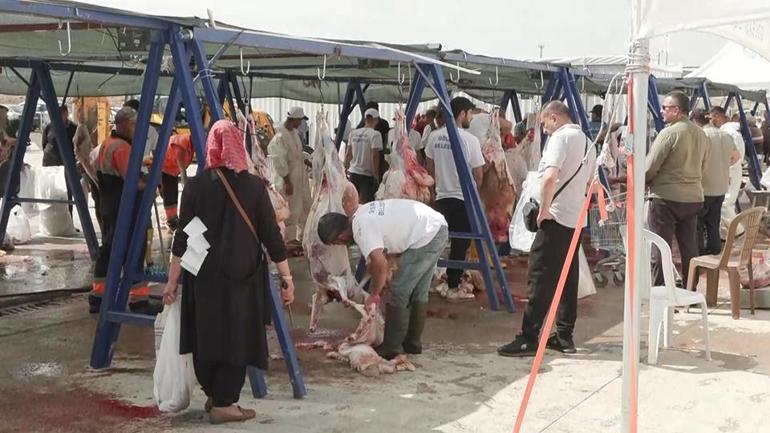 Hangi hayvanlar kurbanlık olabilir