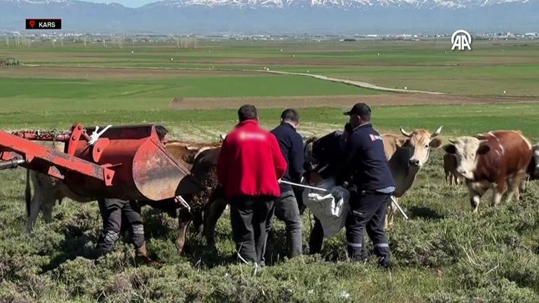 Bir bayram klasiği: Firari kurbanlıklar