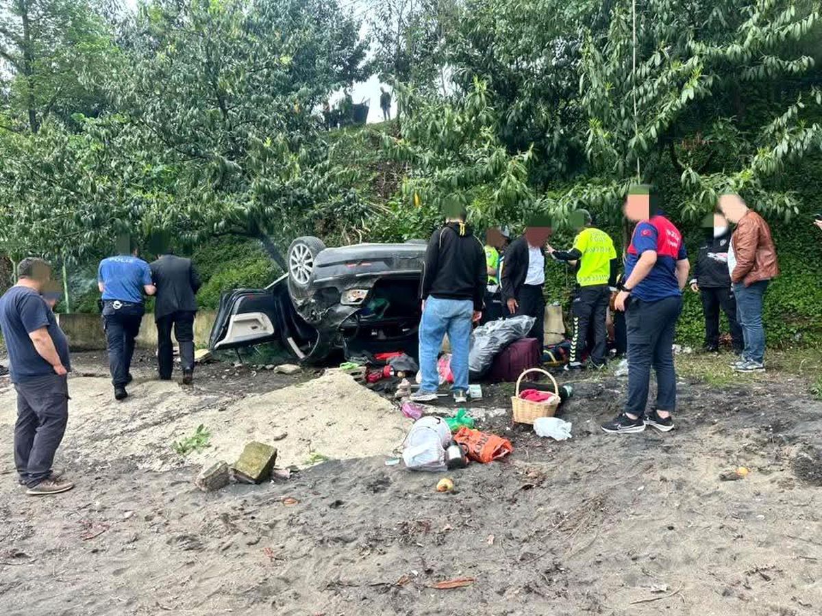 Kediye çarpmamak için manevra yapınca araç plaja uçtu: 4 yaralı