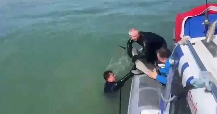 Samsun polisi bu kez bir yunus için harekete geçti