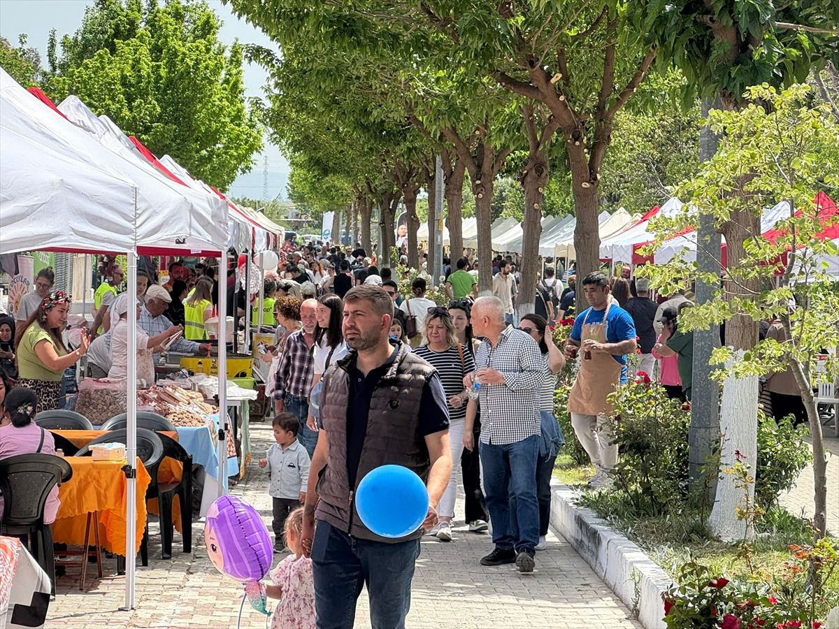 Söke’de Priene Kültür Festivali başladı
