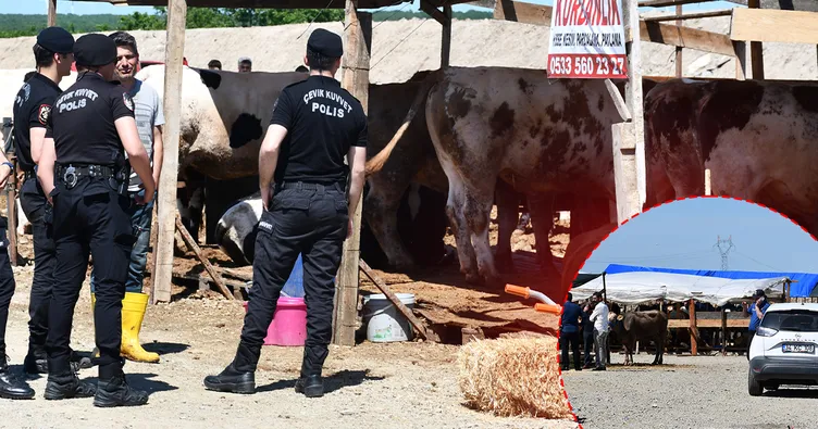 Tekirdağ’da kurban pazarı savaş alanına döndü! Yer anlaşmazlığı tartışması kanlı bitti: Yaralılar var!