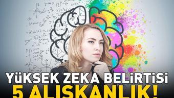 YÜKSEK ZEKALI İNSANLARIN 5 ORTAK ALIŞKANLIĞI Zihnin çalışma şekline dair önemli ipuçları veriyor