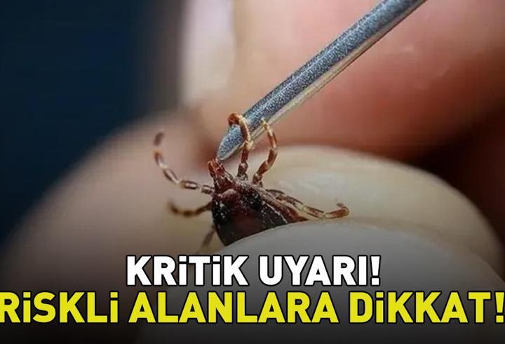 Aman dikkat! Uzman isimden kene uyarısı! ‘Belirtiler 3. günden itibaren ortaya çıkabiliyor’