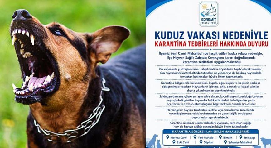 İlk vaka tespit edildi! Bir ilimizde kuduz karantinası; vatandaşlara kritik uyarılar