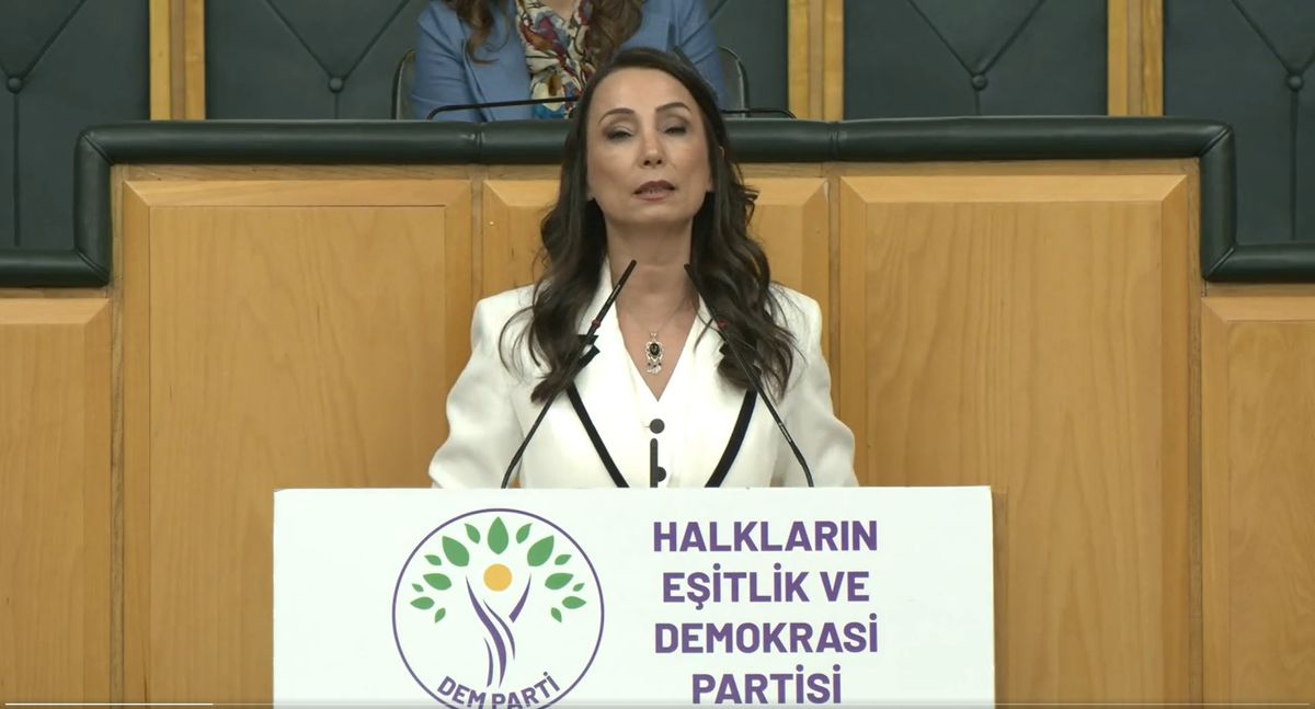 DEM Parti’li Hatimoğulları: Çerçeve yasanın acilen çıkması lazım