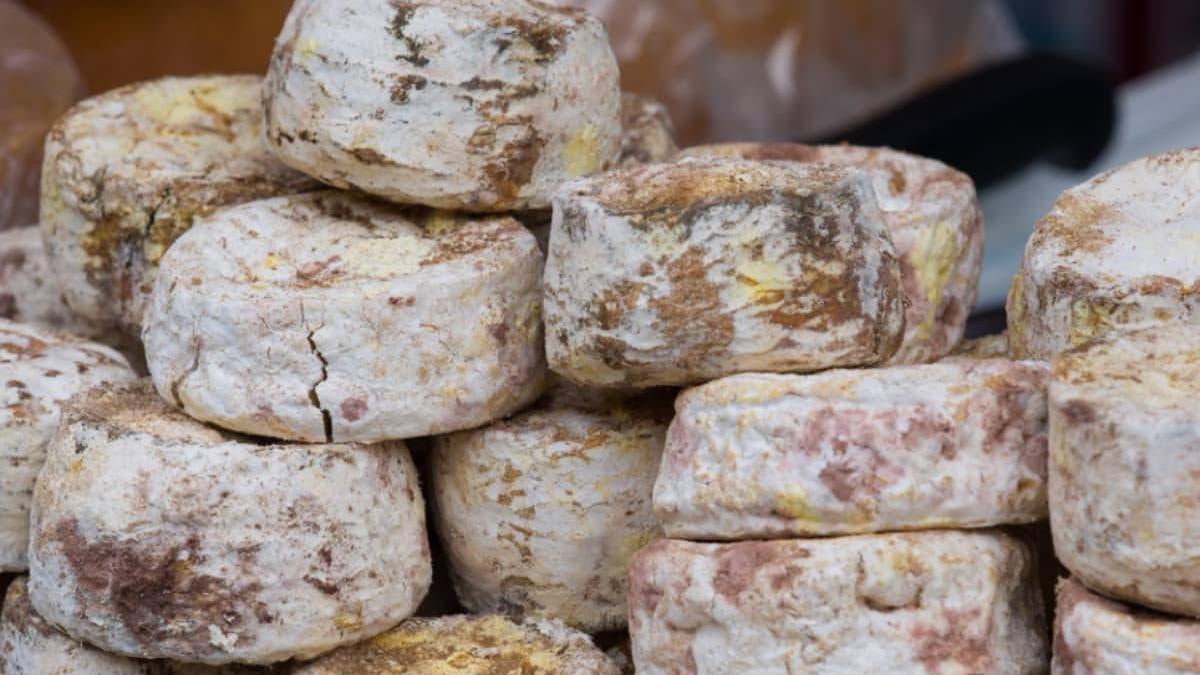 Dünyanın en eski peyniri hiç beklenmedik bir yerde bulundu: 3500 yıllık