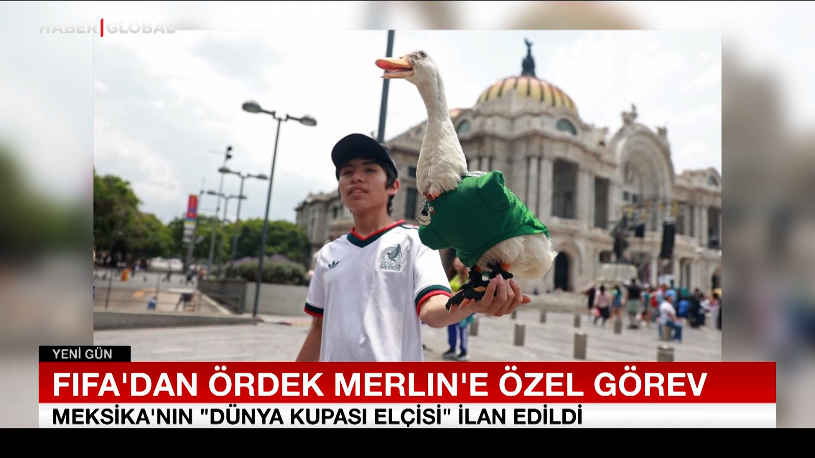 FIFA’dan ördek Merlin’e özel görev