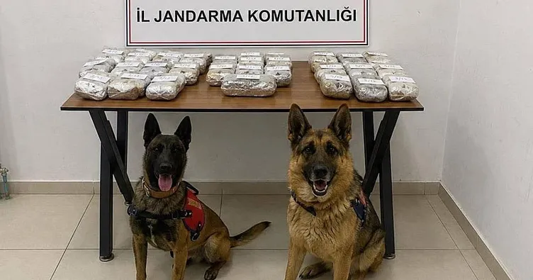 Hakkari’de 21 kilo 650 gram toz esrar ele geçirildi
