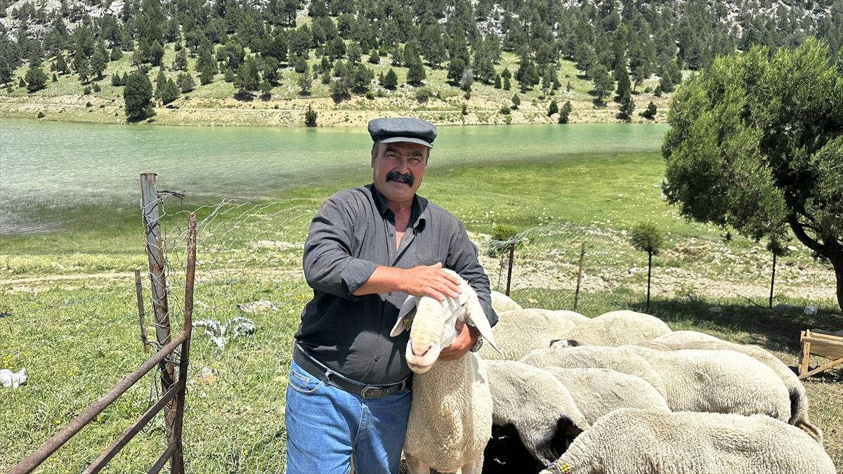 Isparta’da Yörüklerin yayla göçü başladı