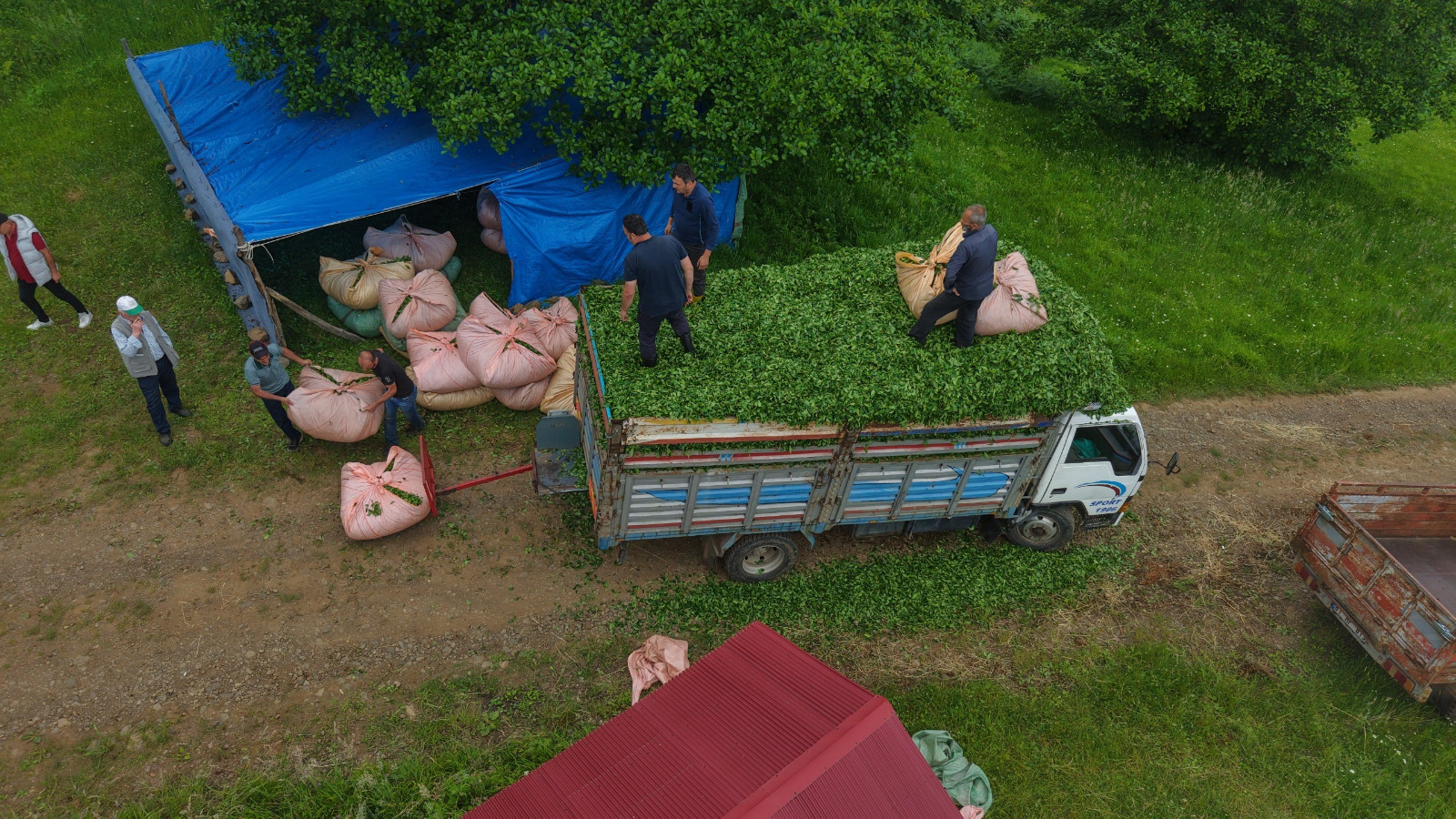 Karadeniz insanı yine zekasını konuşturdu, zor işi kolaylaştırdı