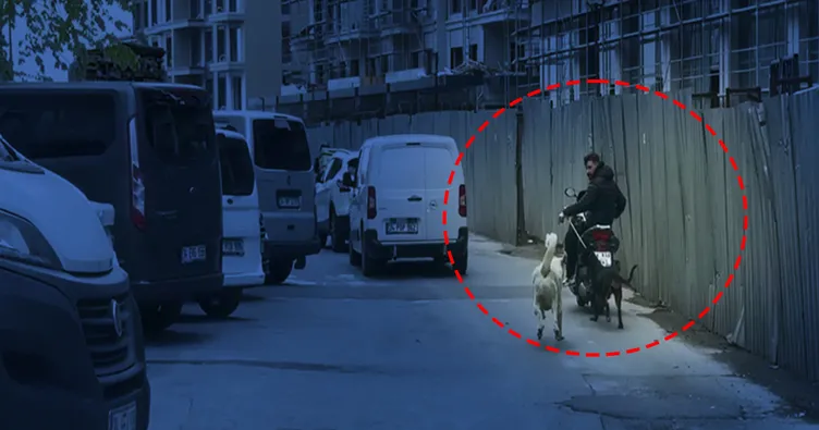Motosikletin arkasına bağladığı köpeği metrelerce koşturdu: O sürücüye 8 bin 678 lira ceza kesildi