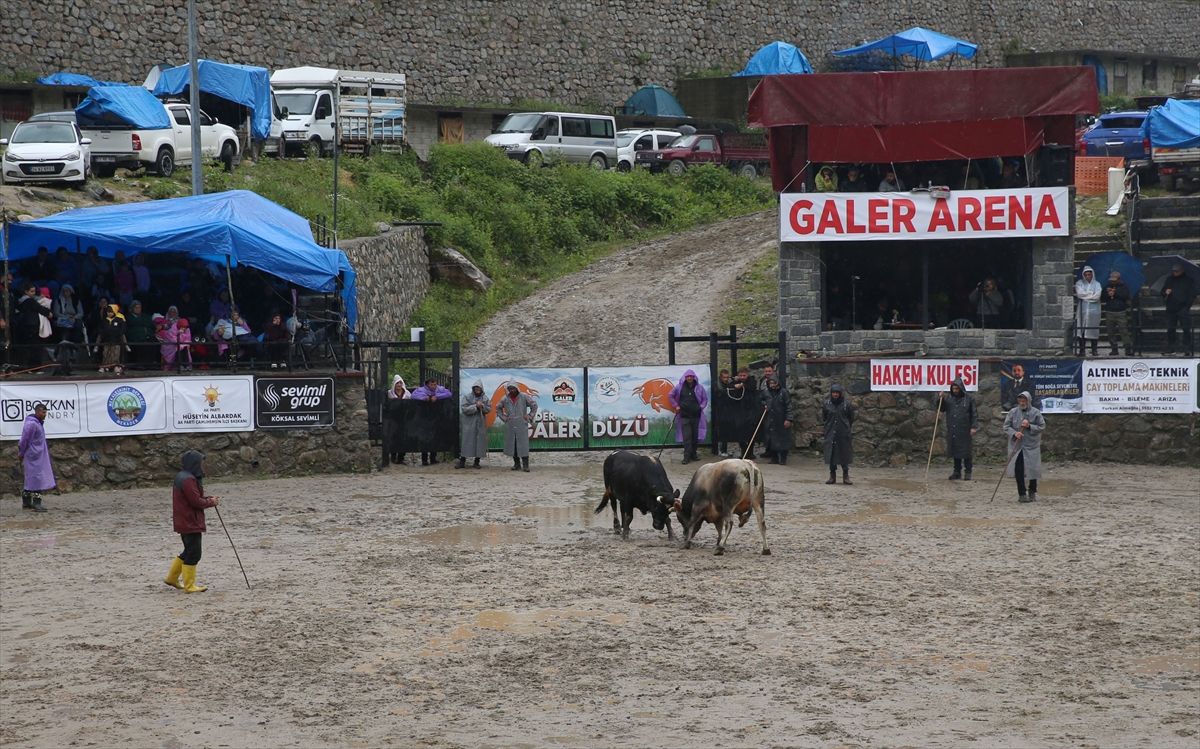 Rize’de “30. Çamlıhemşin Ayder Kültür, Sanat ve Doğa Festivali” başladı