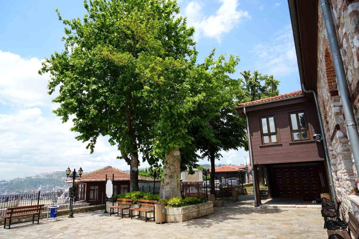 Sembol caminin 6 asırlık çınarı yıldırımlara rağmen ayakta