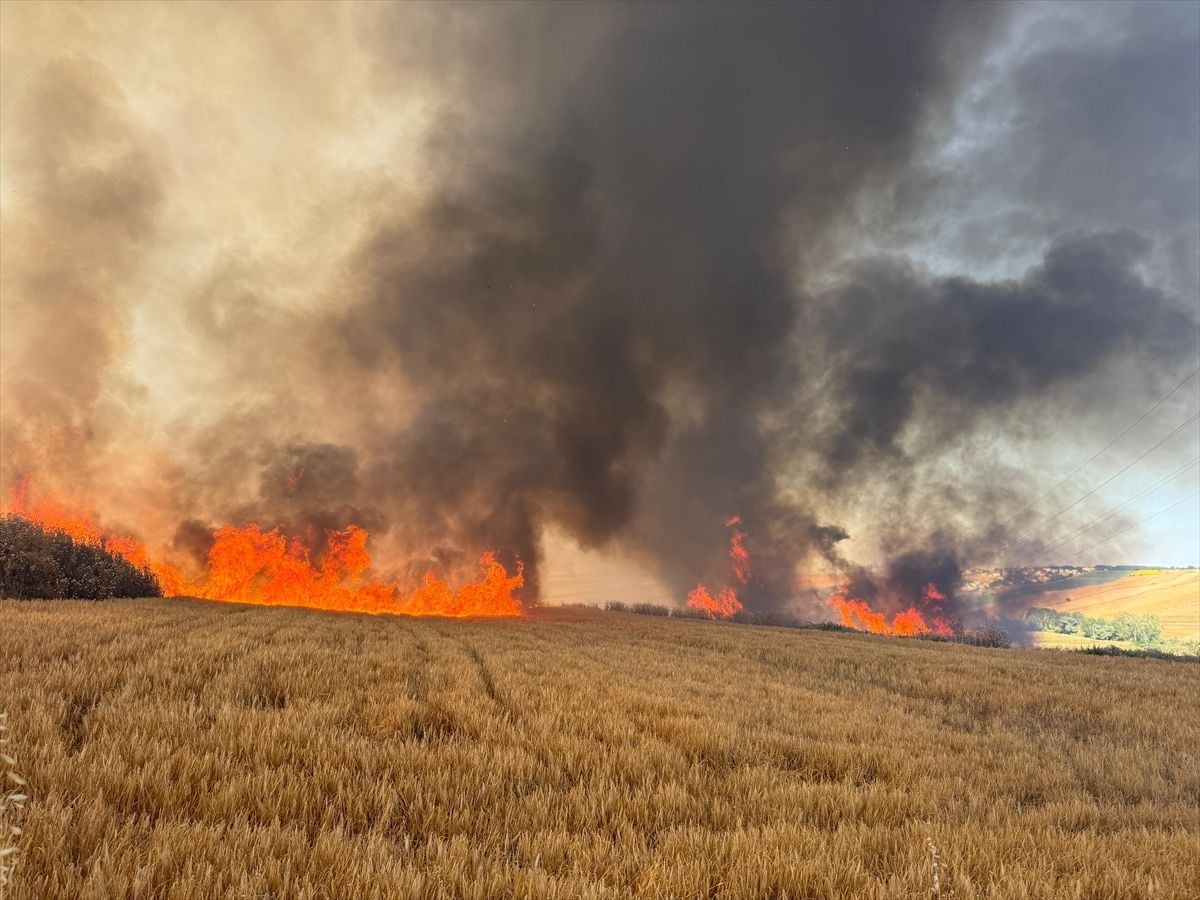Tekirdağ’da buğday ekili tarlalarda çıkan yangına müdahale ediliyor