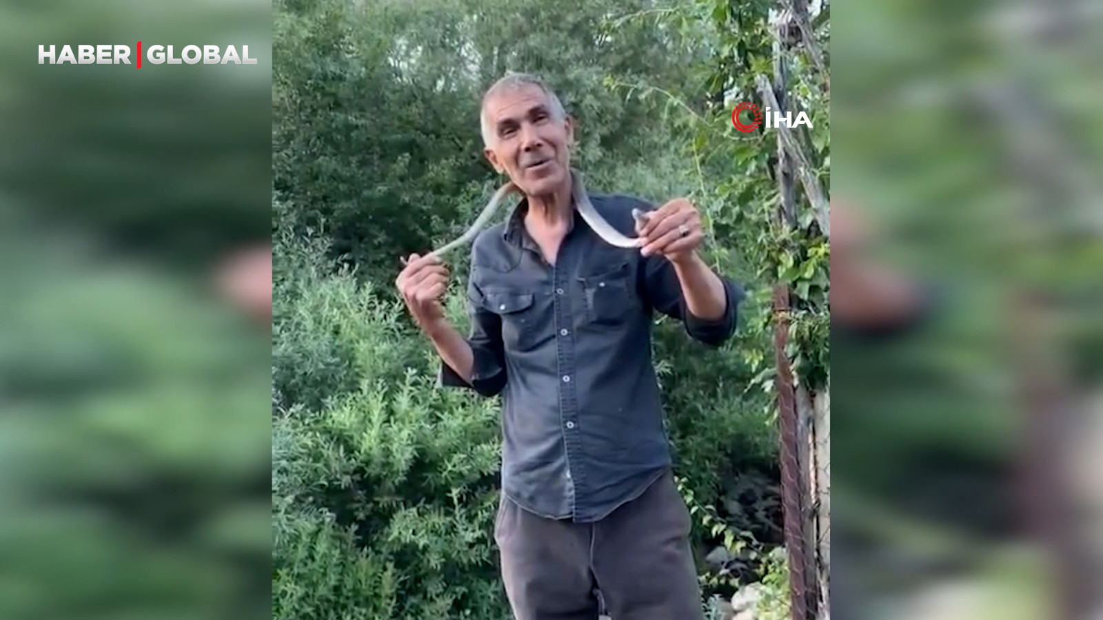Zehirli engerek yılanını yakalayıp boynuna doladı: “Benim yaptığımı yapmayın”