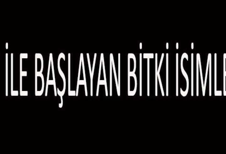 T İle Başlayan Bitki İsimleri… T Harfi İle Başlayan Bitkiler