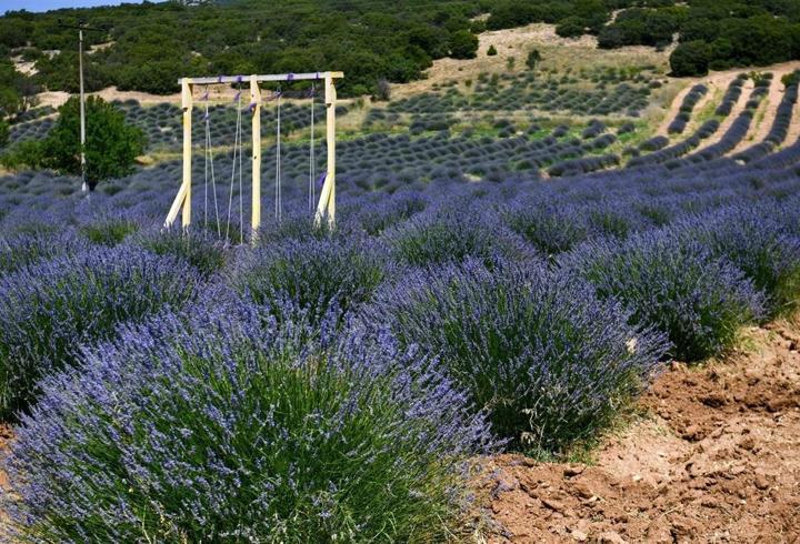 Isparta’nın Neyi Meşhur? Isparta’nın En Meşhur Yemekleri Ve Alınabilecek Hediyelikler